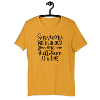 Surviving Motherhood T-Shirt